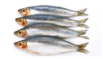 SARDINES